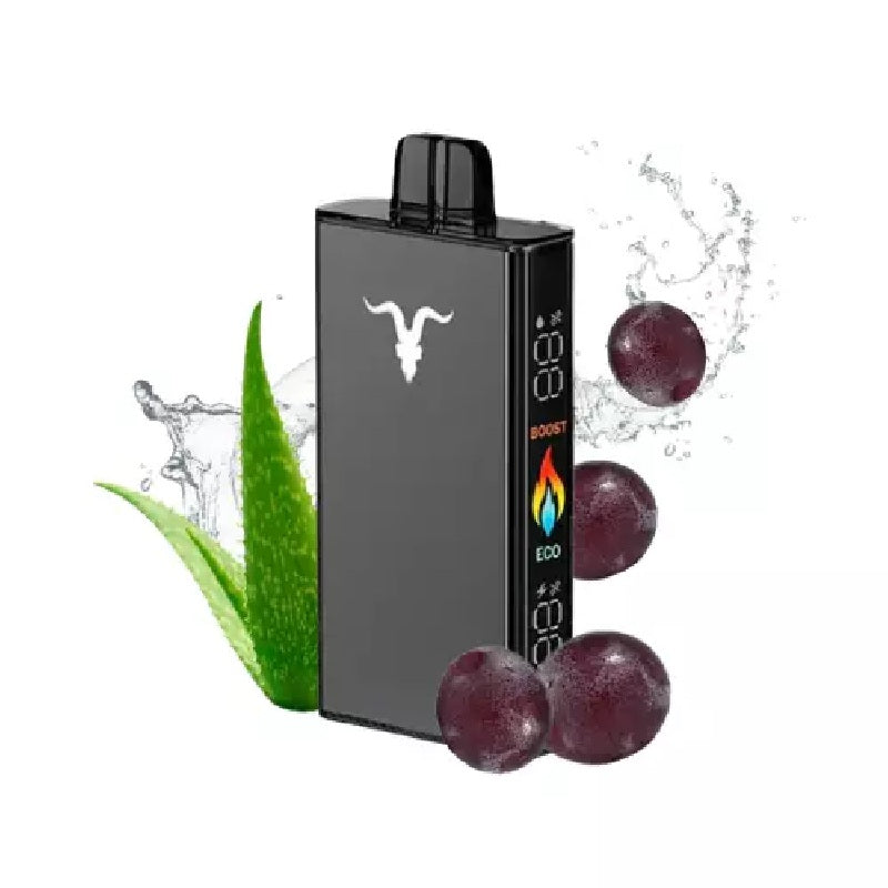IGNITE V250 25,000 Puffs Disposable Vape Vape Station IGNITE V250 25,000 Puffs Disposable Vape Vape Station