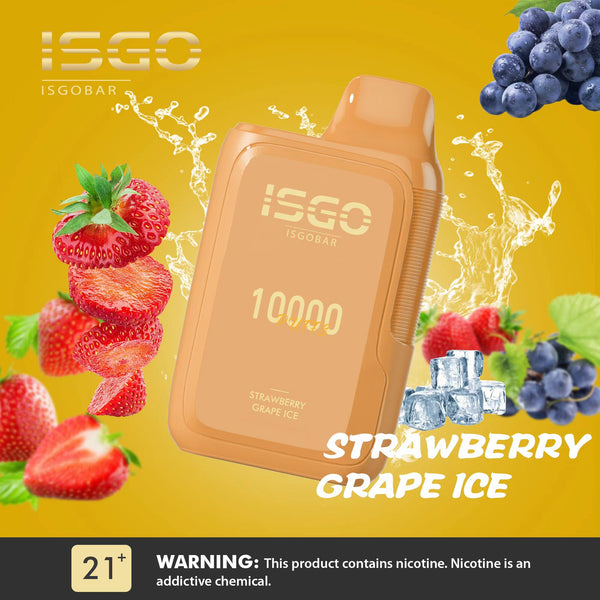 ISGO BAR 10000 Puffs Disposable Vape 5%