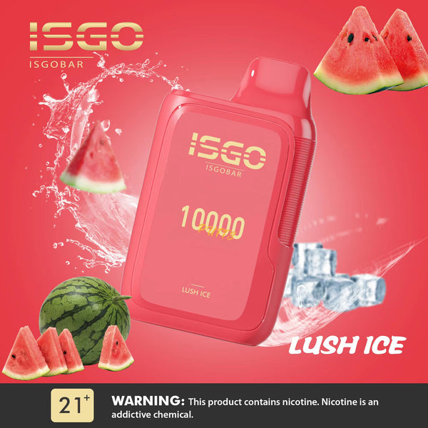 ISGO BAR 10000 Puffs Disposable Vape 5%