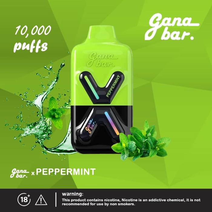 GANA BAR PD10000 Puffs Disposable Pod Kit