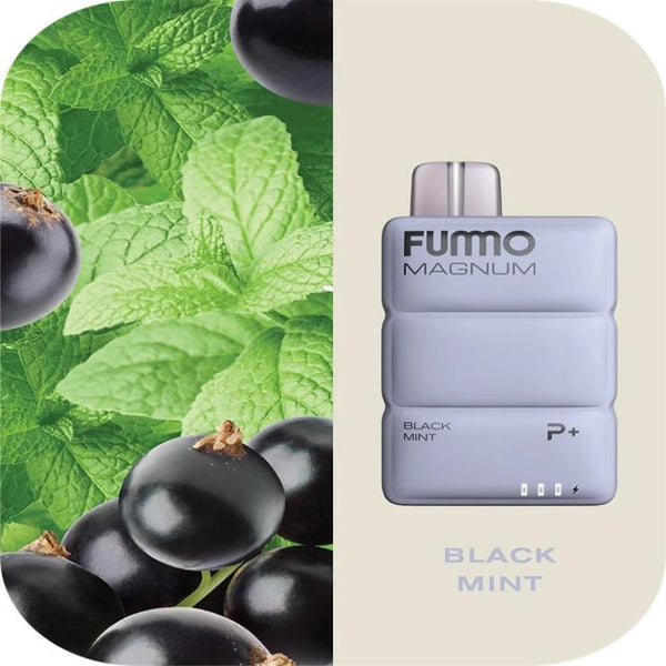 FUMMO MAGNUM 8000 Puffs Disposable Vape