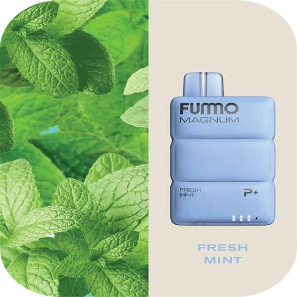 FUMMO MAGNUM 8000 Puffs Disposable Vape