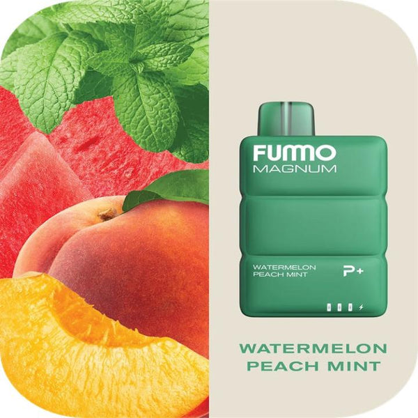 FUMMO MAGNUM 8000 Puffs Disposable Vape