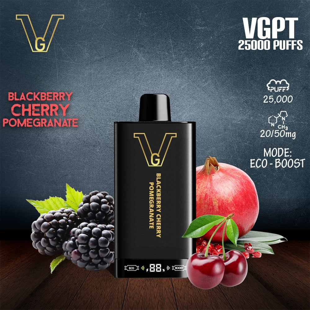 VGPT 25,000 Puffs Disposable Vape – Vape Station