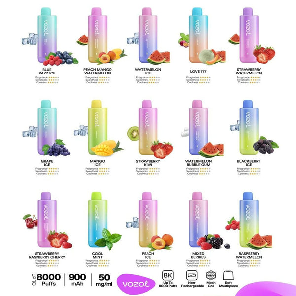 VOZOL Star 8000 Puffs Disposable Vape (Non-Rechargeable) - Vape Station