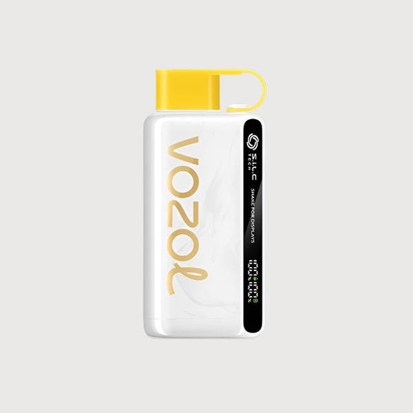 VOZOL STAR 12,000 Puffs Disposable Vape (50mg)