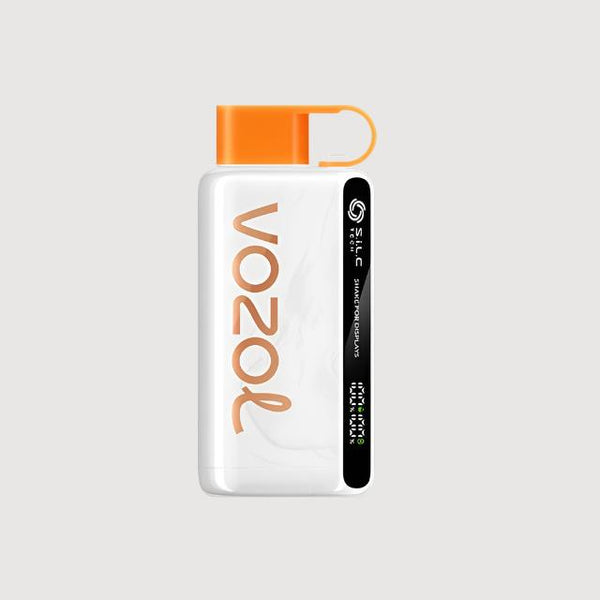 VOZOL STAR 12,000 Puffs Disposable Vape (50mg)