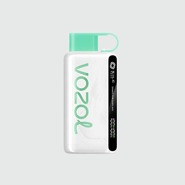 VOZOL STAR 12,000 Puffs Disposable Vape (50mg)