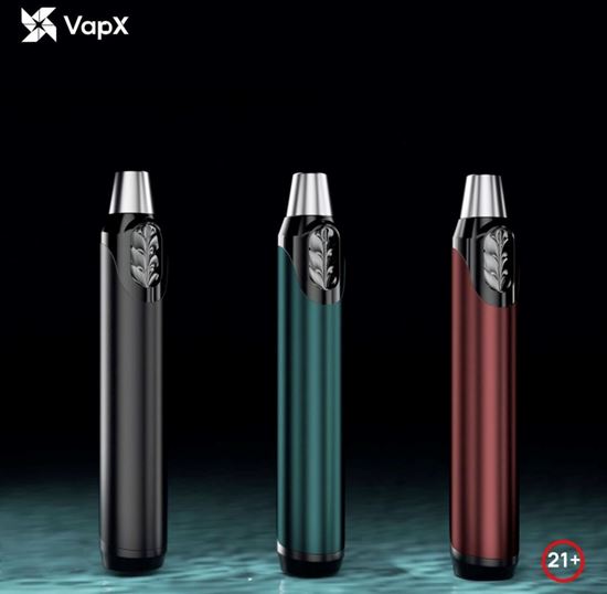 VAPX Art Pod System Kit 300mAh with Charging Case 800mAh